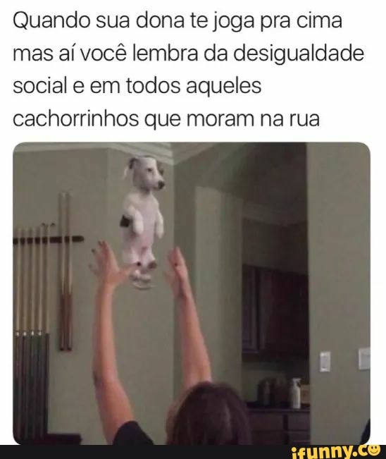 Quando sua dona te joga pra cima
mas aí você lembra da desigualdade
social e em todos aqueles
cachorrinhos que moram na rua