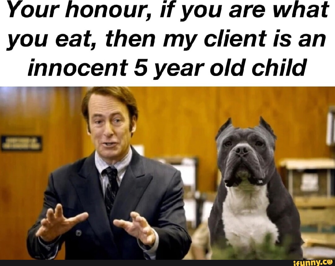 Your honour, if you are what you eat, then my client is an innocent 5 ...