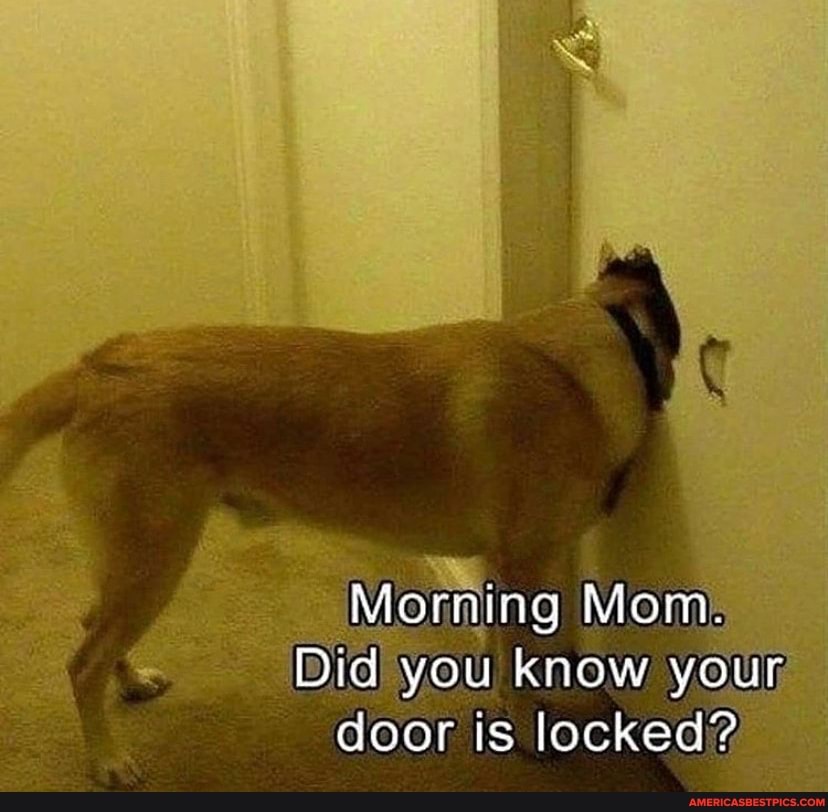 Morning Mom.
Did you know your door is locked?