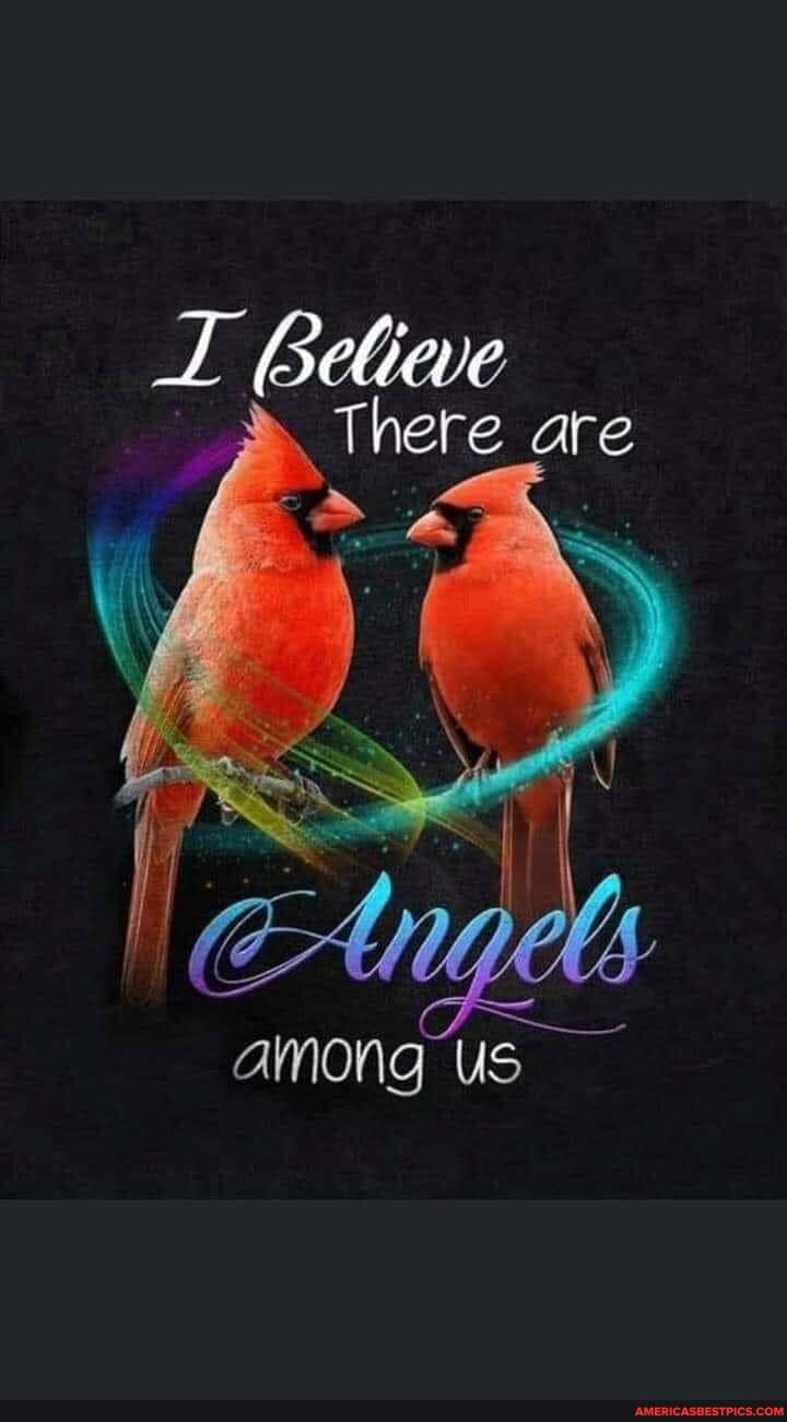 eleve
There are
\ \
us