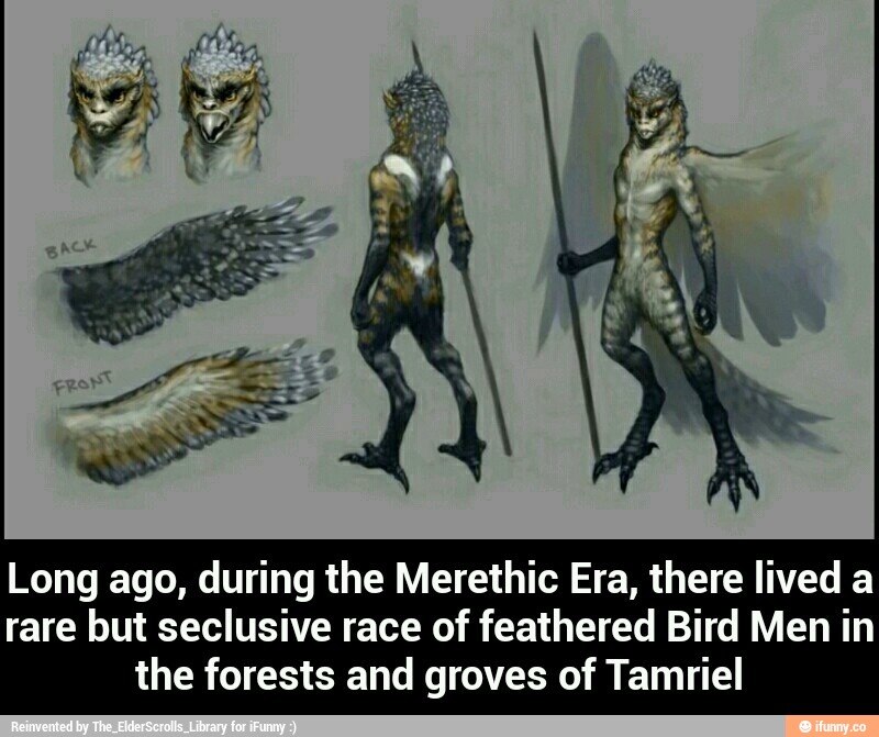 elder scrolls merethic era