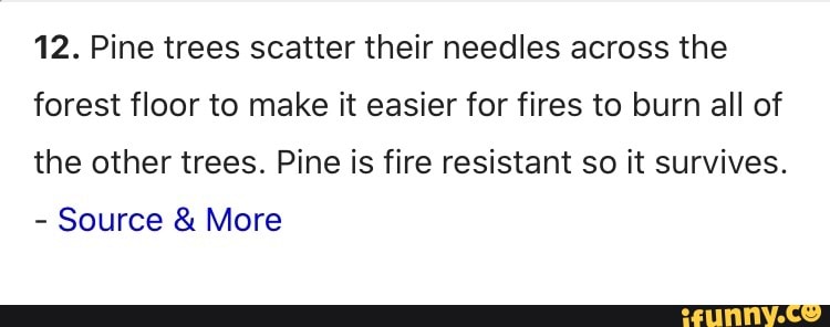 12. Pine trees scatter their needles across the forest floor to make it easier for fires to burn all of the other trees. Pine is fire resistant so it survives.
- Source & More