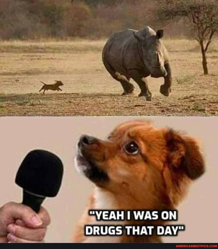 "YEAH I WAS ON DRUGS THAT DAY"