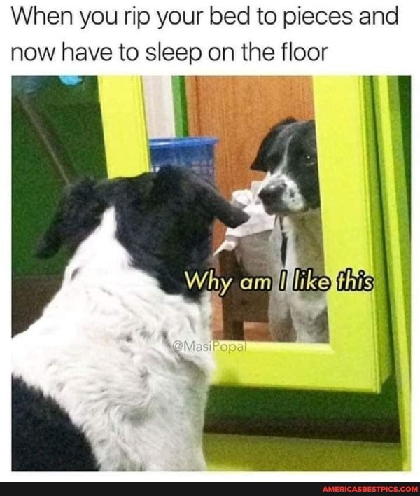When you rip your bed to pieces and now have to sleep on the floor
like