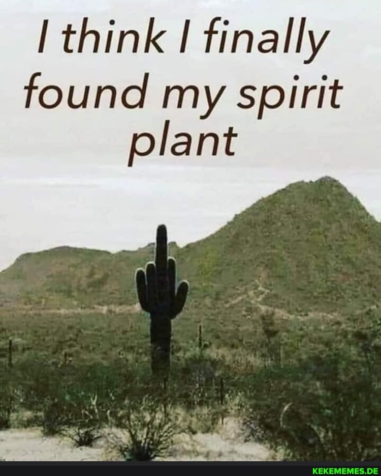 think finally found my spirit plant