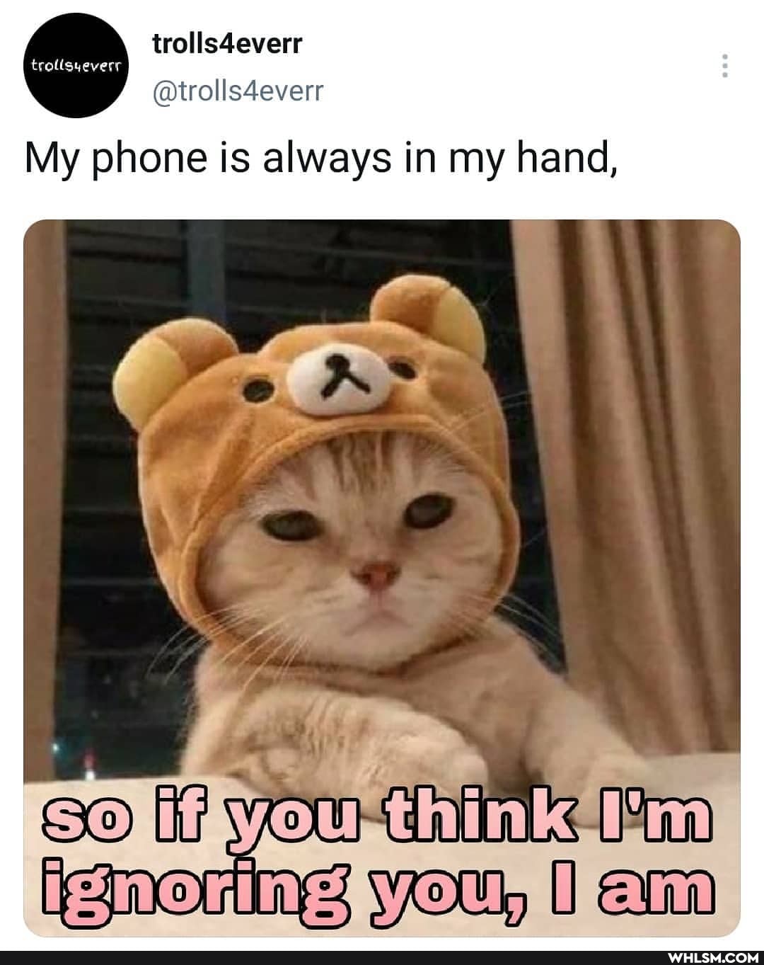My phone is always in my hand,