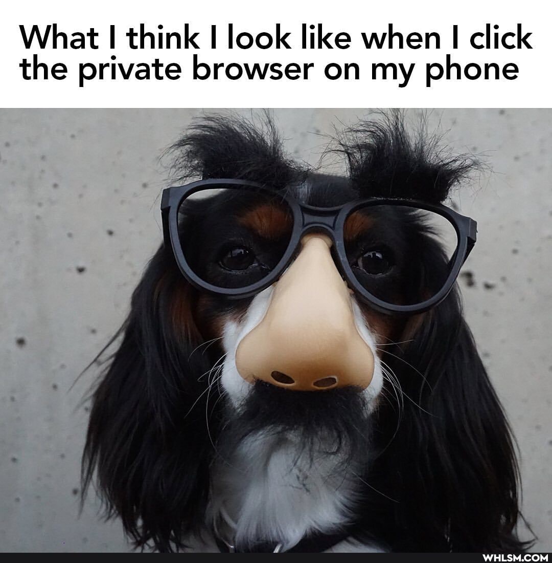 What I think I look like when click the private browser on my phone