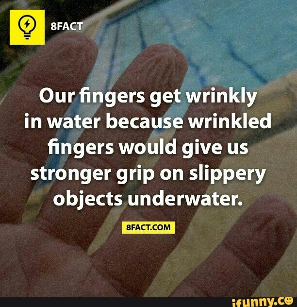 Collection 96+ Wallpaper Why Are My Fingertips Wrinkled Without Being