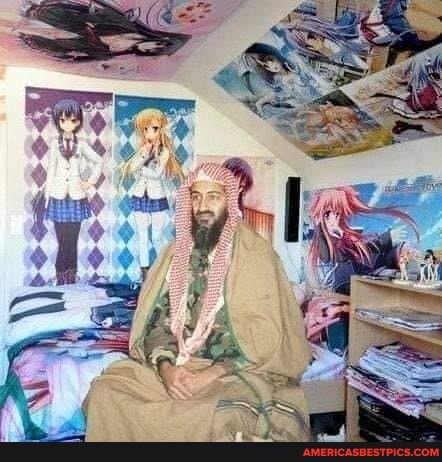 osama, bin, waifu