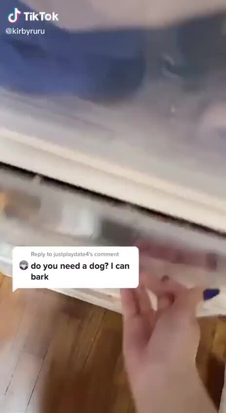 Tiktok Kirbyruru Do You Need A Dog I Can Bark
