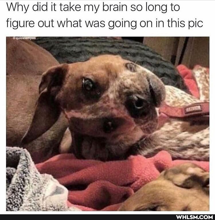 Why did it take my brain so long to figure out what was going on in this pic
SS quicktomp
