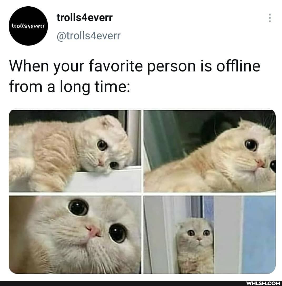 @trolls4everr
When your favorite person is offline from a long time: