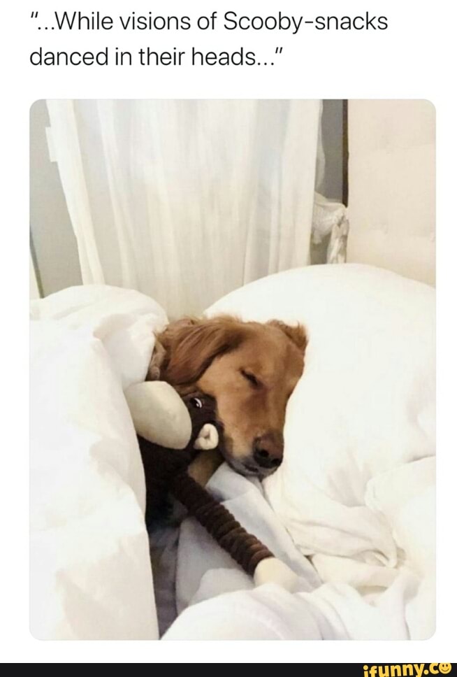 "While visions of Scooby-snacks
danced in their heads..."