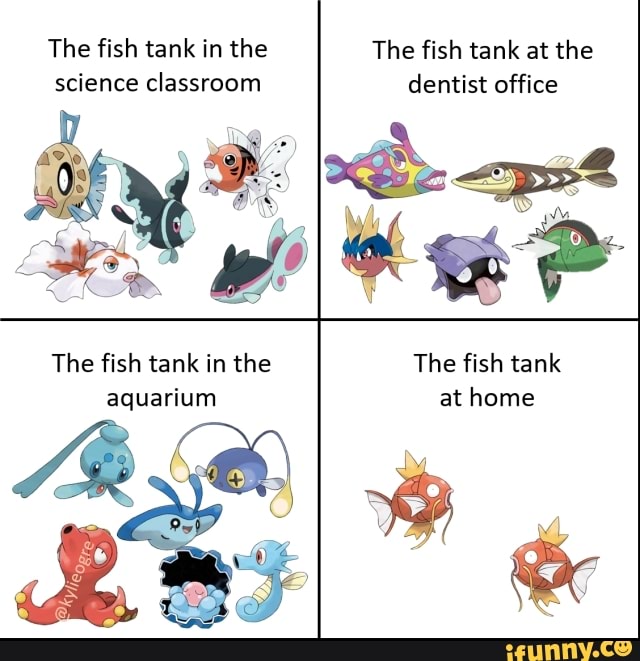 The fish tank in the science classroom
The fish tank at the dentist office
The fish tank in the aquarium
The fish tank at home