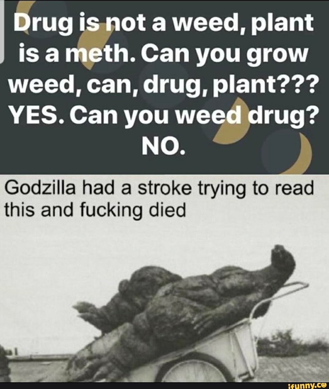 Drug is.not a weed, plant
is a
meth. Can you grow
YES. Can you weed drug?
Godzilla had a stroke trying to
read
this and fucking died