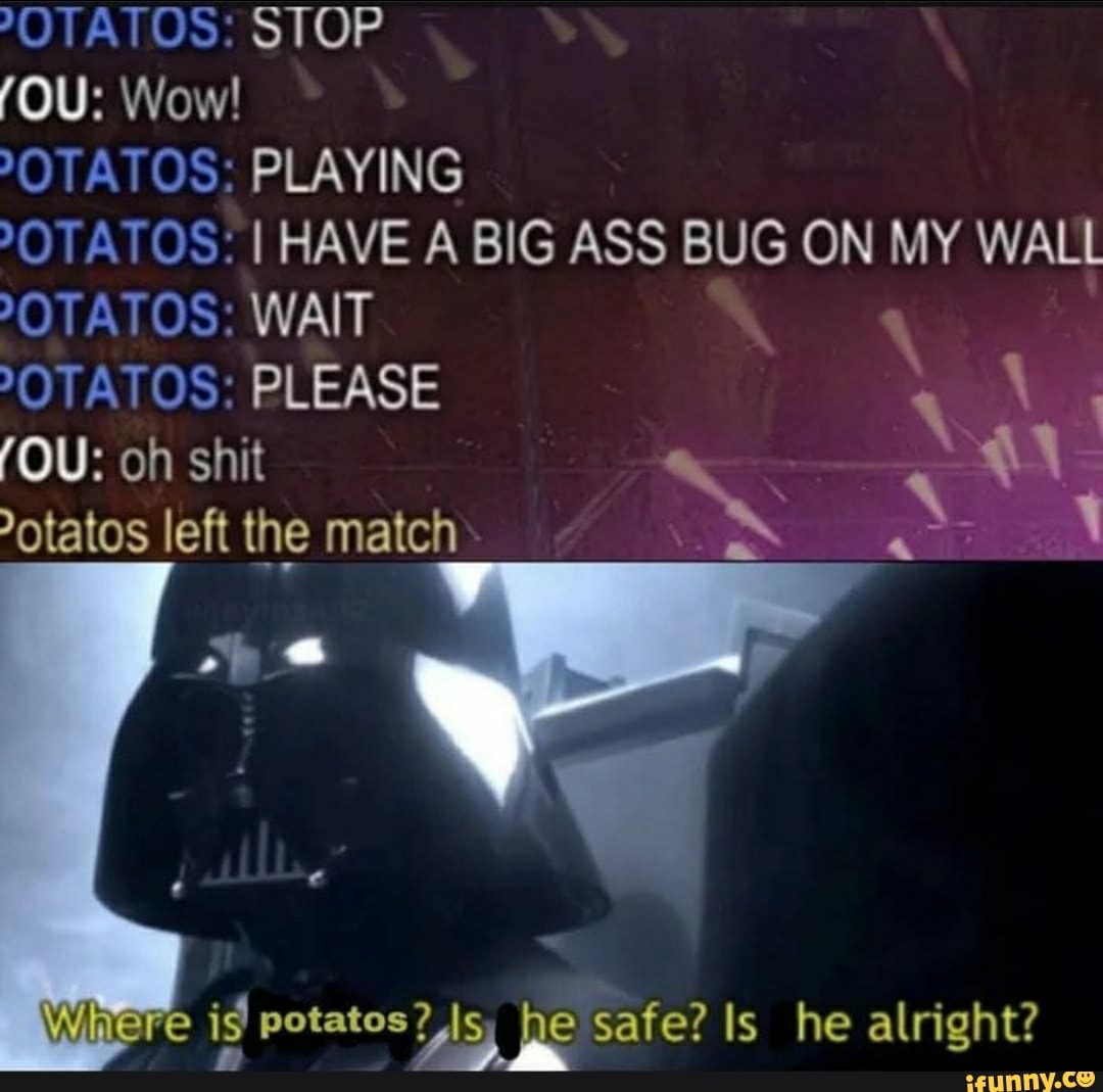 -OTATOS: STOP
PLAYING
OTATOS: I HAVE A BIG ASS BUG ON MY WALL
