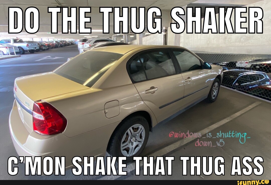 DO-THE.THUG SHAKER lo MON SHAKE THAT THUG ASS - iFunny