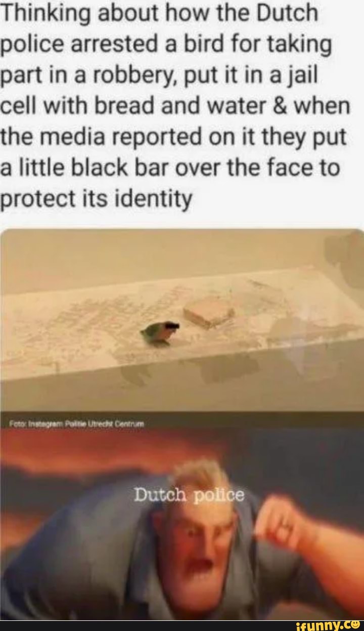 Thinking about how the Dutch police arrested a bird for taking part in a robbery, put it in a jail cell with bread and water & when the media reported on it they put a little black bar over the face to protect its identity
Dutch, ce