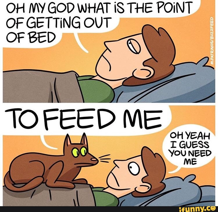 Удачи заложница мем. What's the point. Thats what i like мем. To get straight to the point. Point gif.