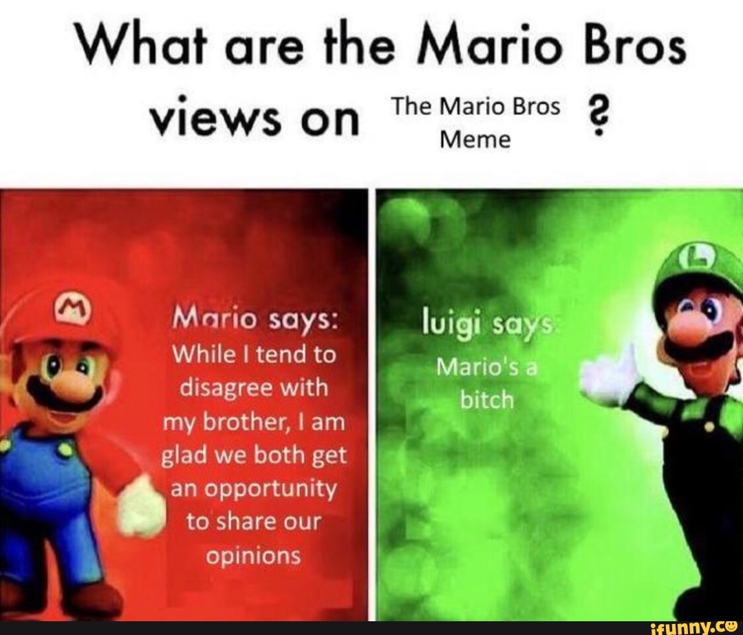 What are the Mario Bros Views on The MarioBros 2 Meme - iFunny