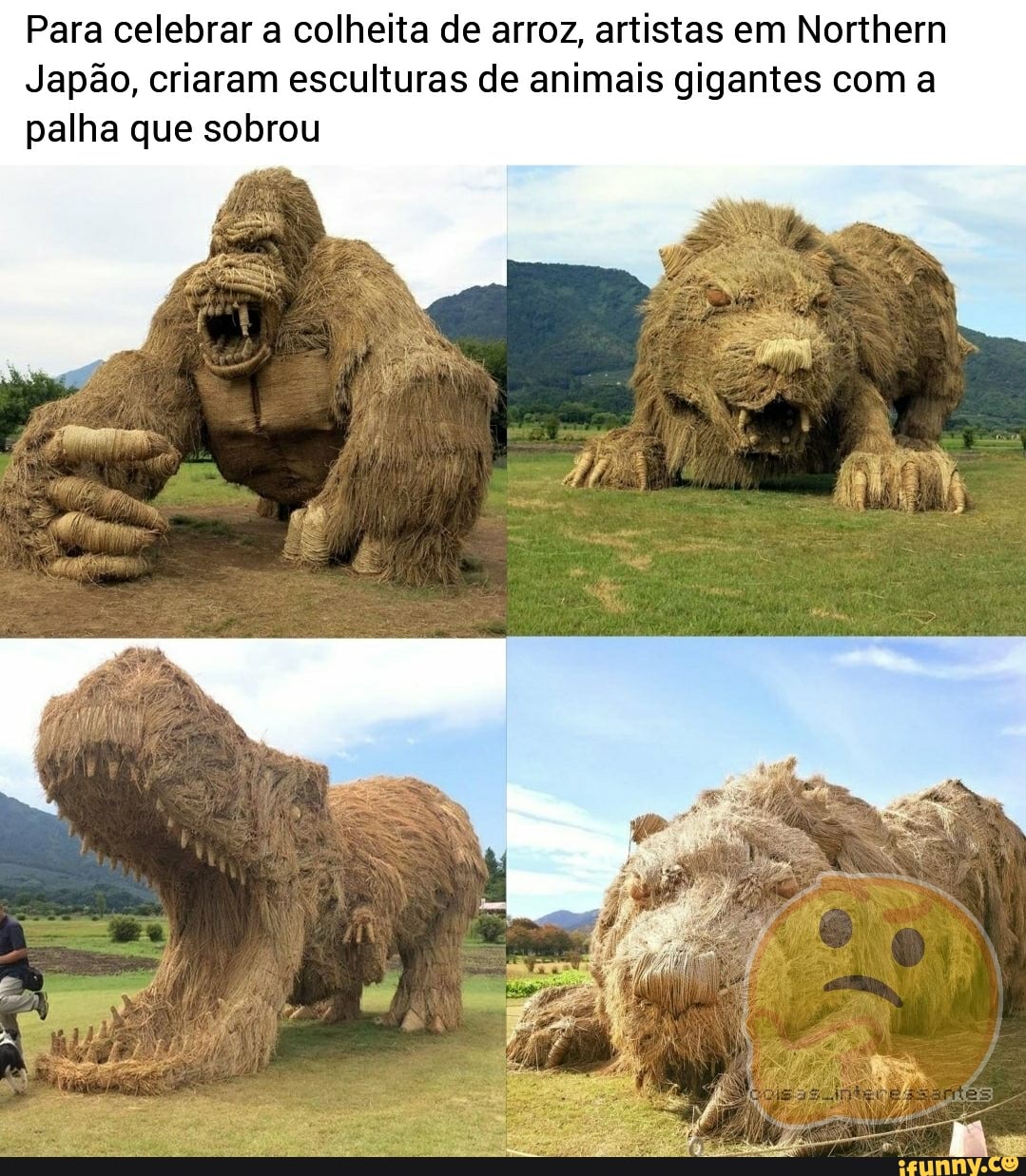 Para celebrar a colheita de arroz, artistas em Northern
Japão, criaram esculturas de animais gigantes com a palha que sobrou