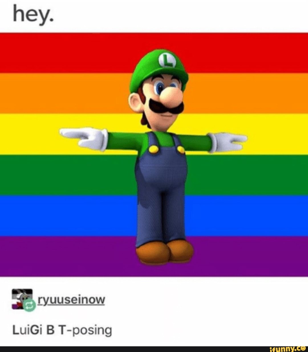 Luigi, T-Pose