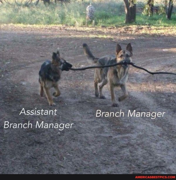 Assistant Branch Manager
Branch Manager