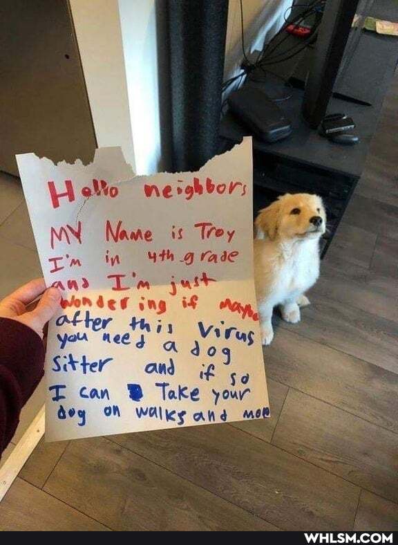 nerghbor;
NN Name is Trey
in "th grade I
Tim
Sitter and
if
can Take your beg OW Walley and mse