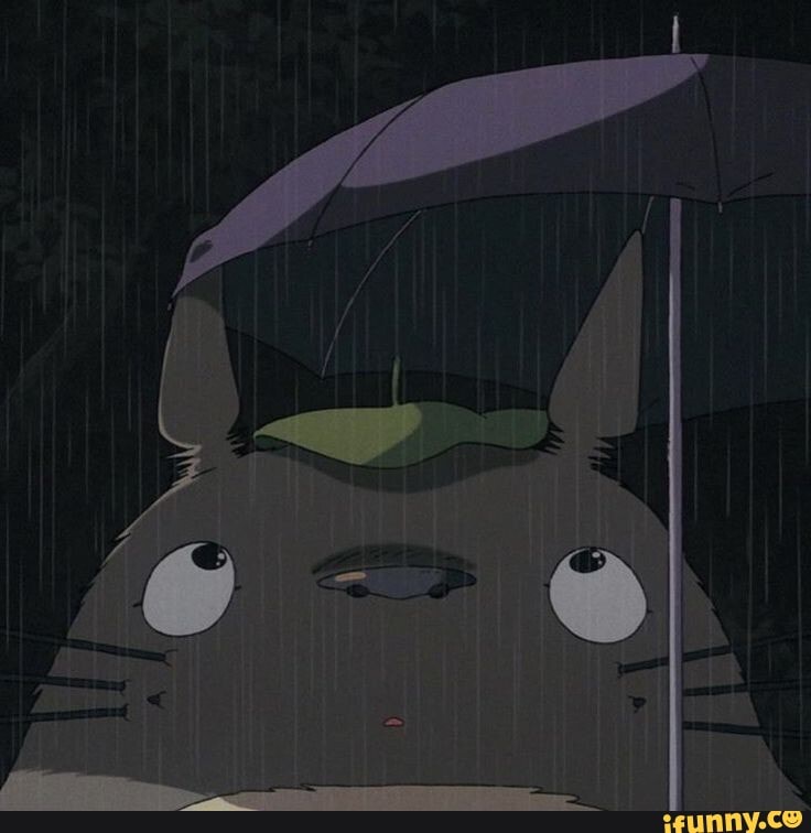 Totoro with umbrella ? - iFunny
