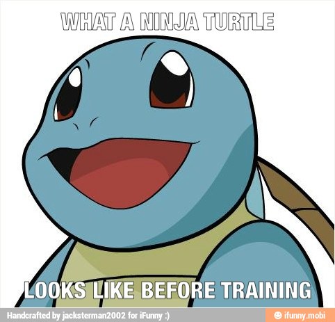 WHAT A DONA TURTLE