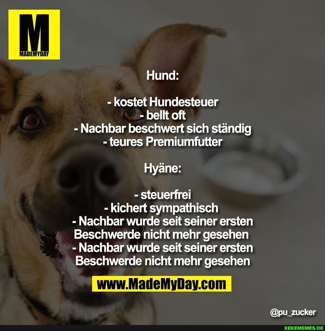 Hund:
kostet Hundesteuer
- bellt oft
- Nachbar beschwert sich ständig
- teures Premiumfutter
Hyäne:
- steuerfrei
- kichert sympathisch
Nachbar wurde seit seiner ersten
Beschwerde nicht mehr gesehen
Nachbar wurde seit seiner ersten
Beschwerde nicht mehr gesehen
@pu_zucker