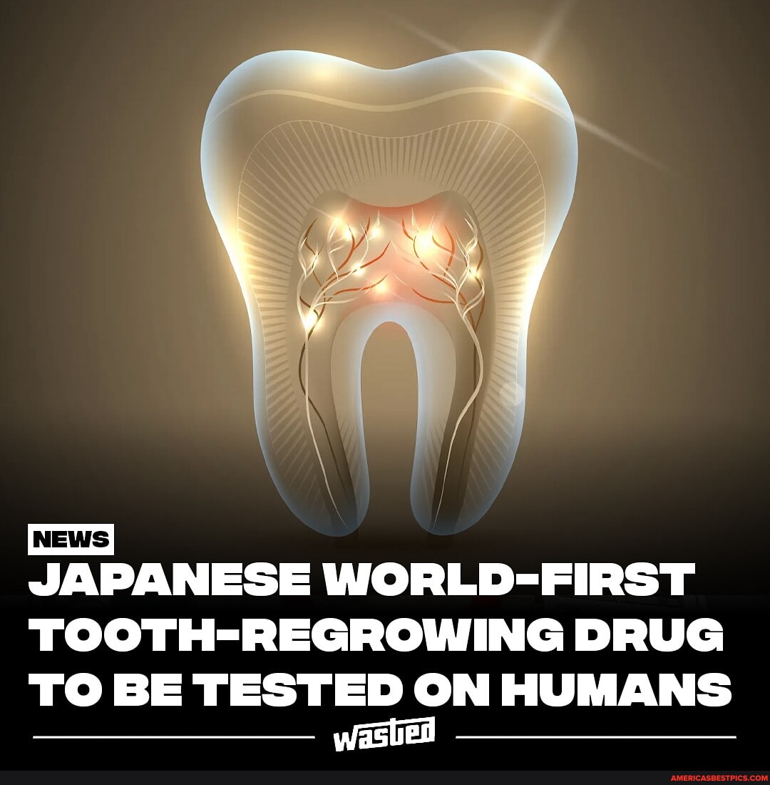 Japanese Researchers Are Nearing A Groundbreaking Advancement In Dental ...