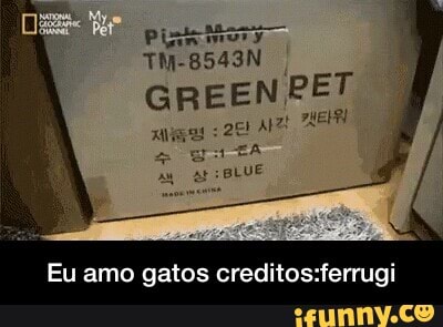 Pinte Moss
GREEN PET
1
apt
EMP
Eu amo gatos creditos:ferrugi - Eu amo gatos creditos:ferrugi