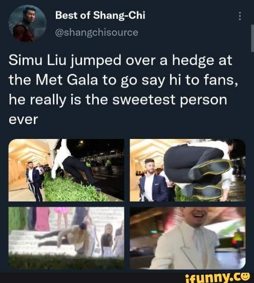 Shang-Chi: Simu Liu volta a virar meme por aparição no Met Gala