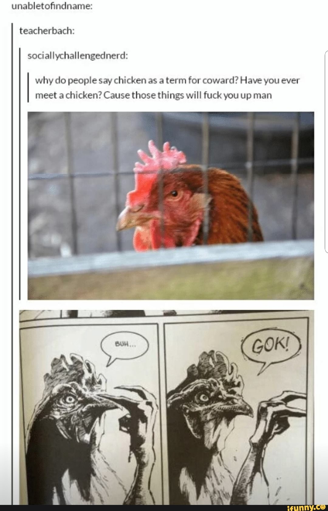 Why do people say chicken as a term for coward? Have you ever meet a chicken?  Cause those things will fuck you up man - iFunny