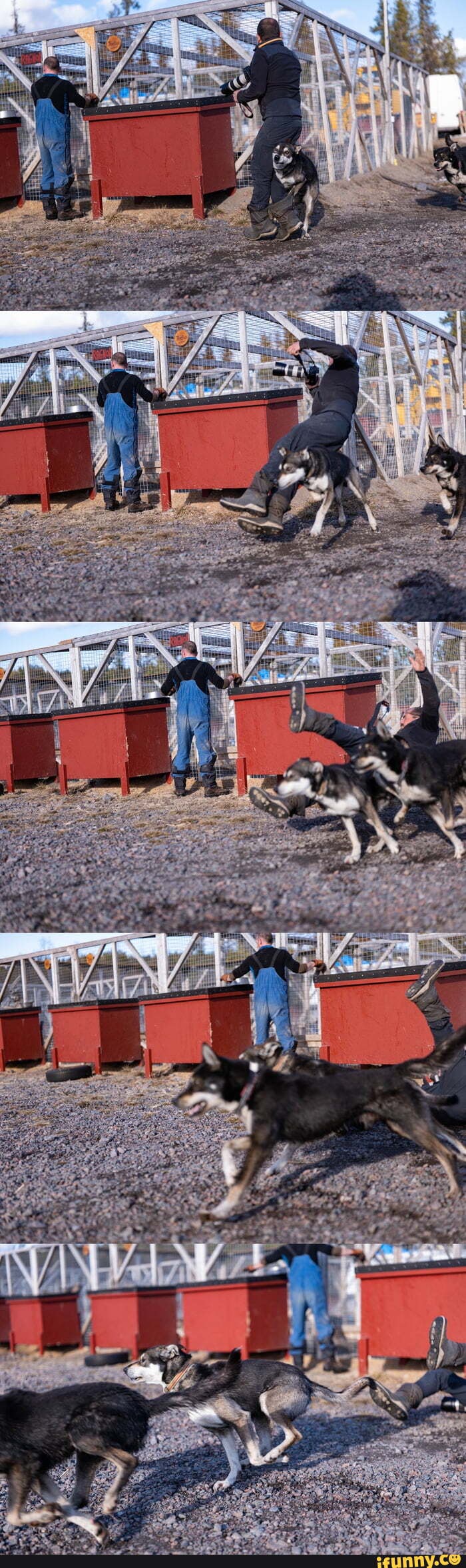 Hit_and_run memes. Best Collection of funny Hit_and_run pictures on iFunny