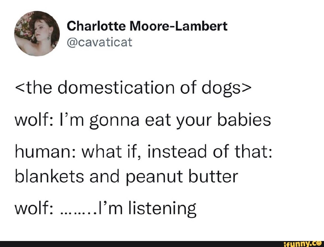 Charlottes Moore-Lambert @cavaticat wolf: I'm gonna eat your babies ...