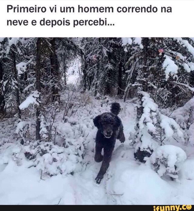Primeiro vi um homem correndo na neve e depois percebi...