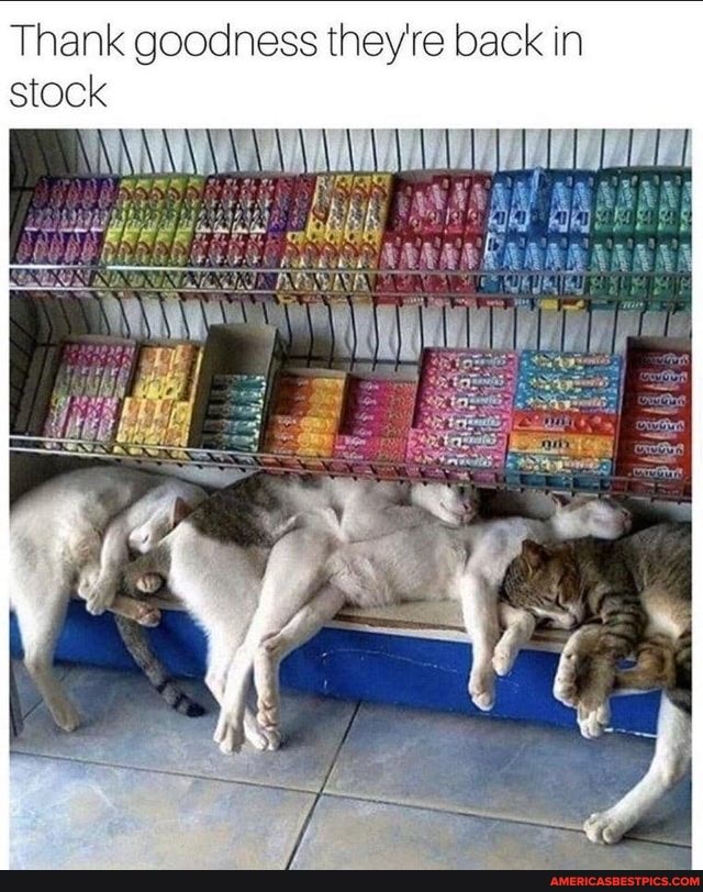 Thank goodness they're back in stock