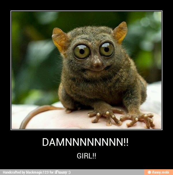 GIRL! - DAMNNNNNNNN!!
GIRL!!