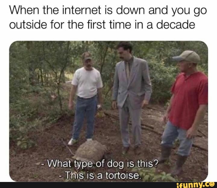 When the internet is down and you go outside for the first time in a decade
- What type of dog is this?
- This is a tortoise