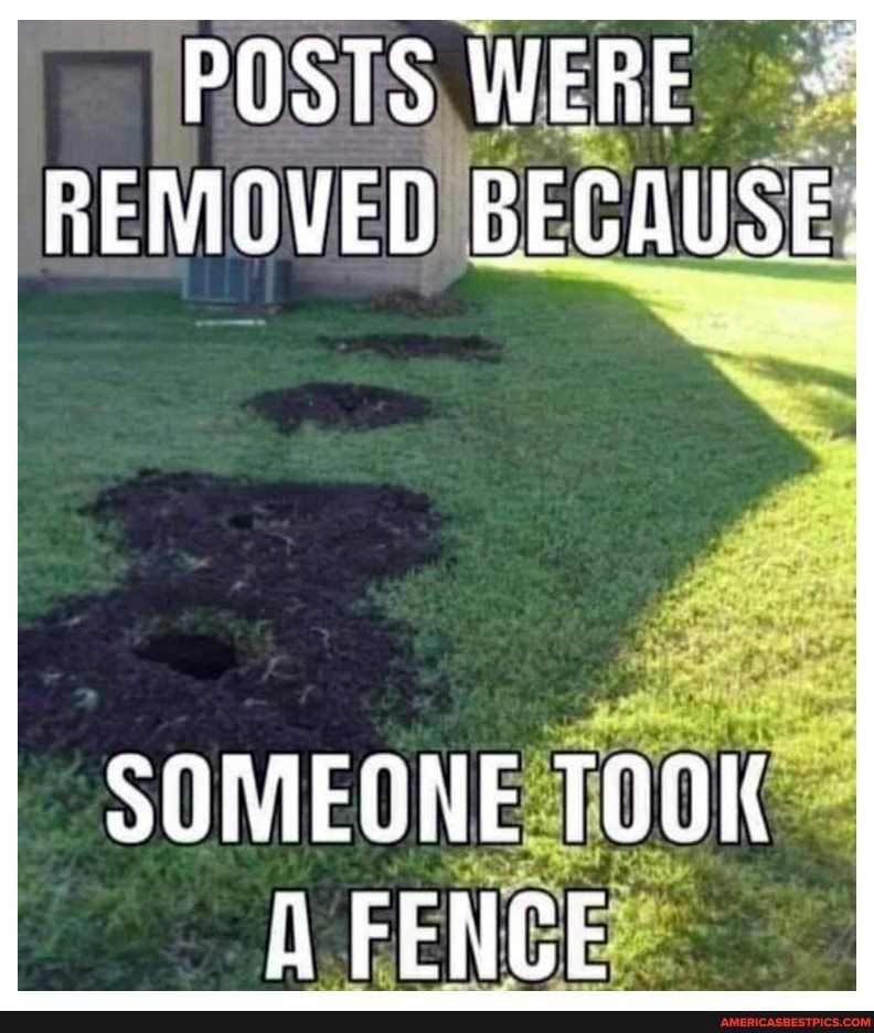 POSTS WERE REMOVED BECAUSE
SOMEONE TOOK A FENCE