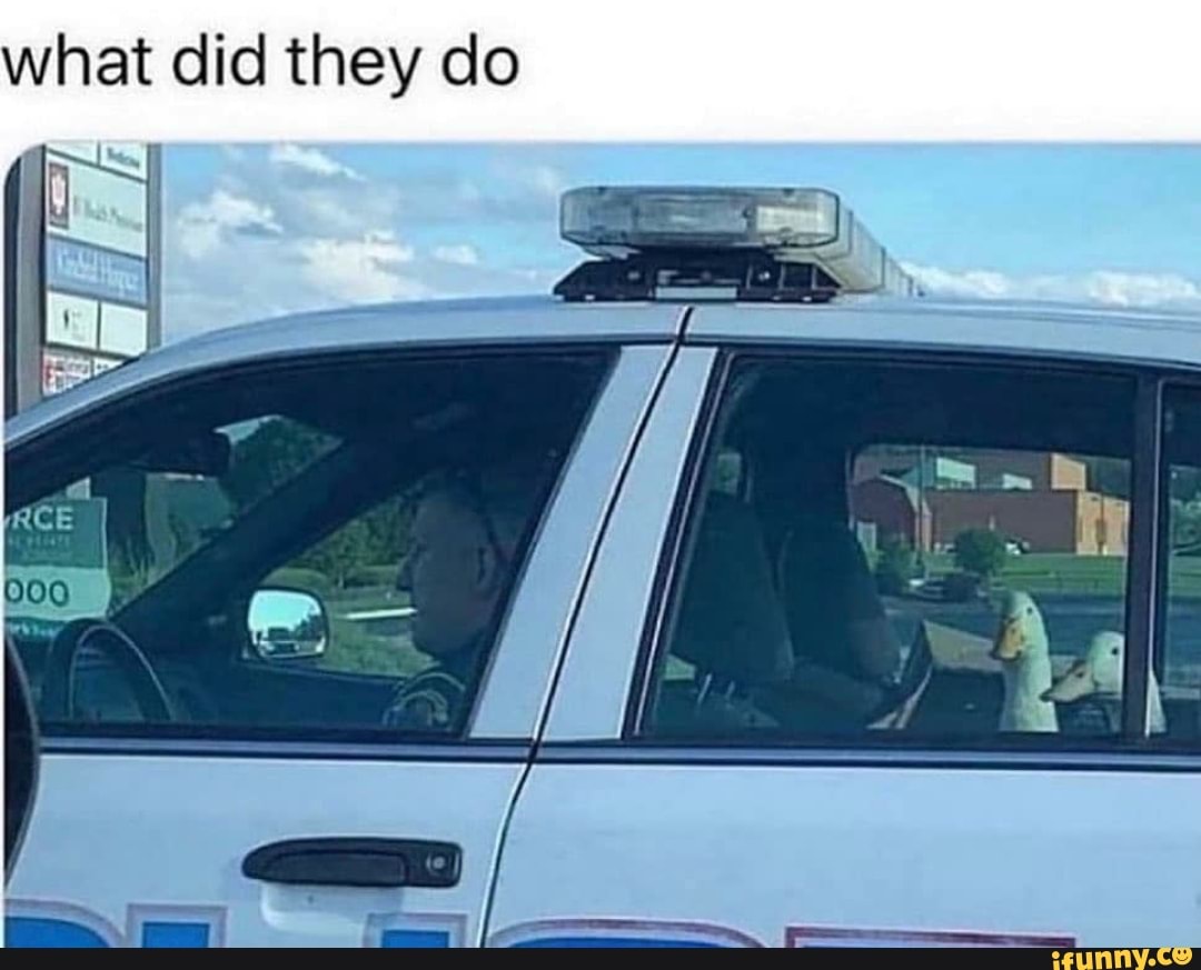 what did they do
