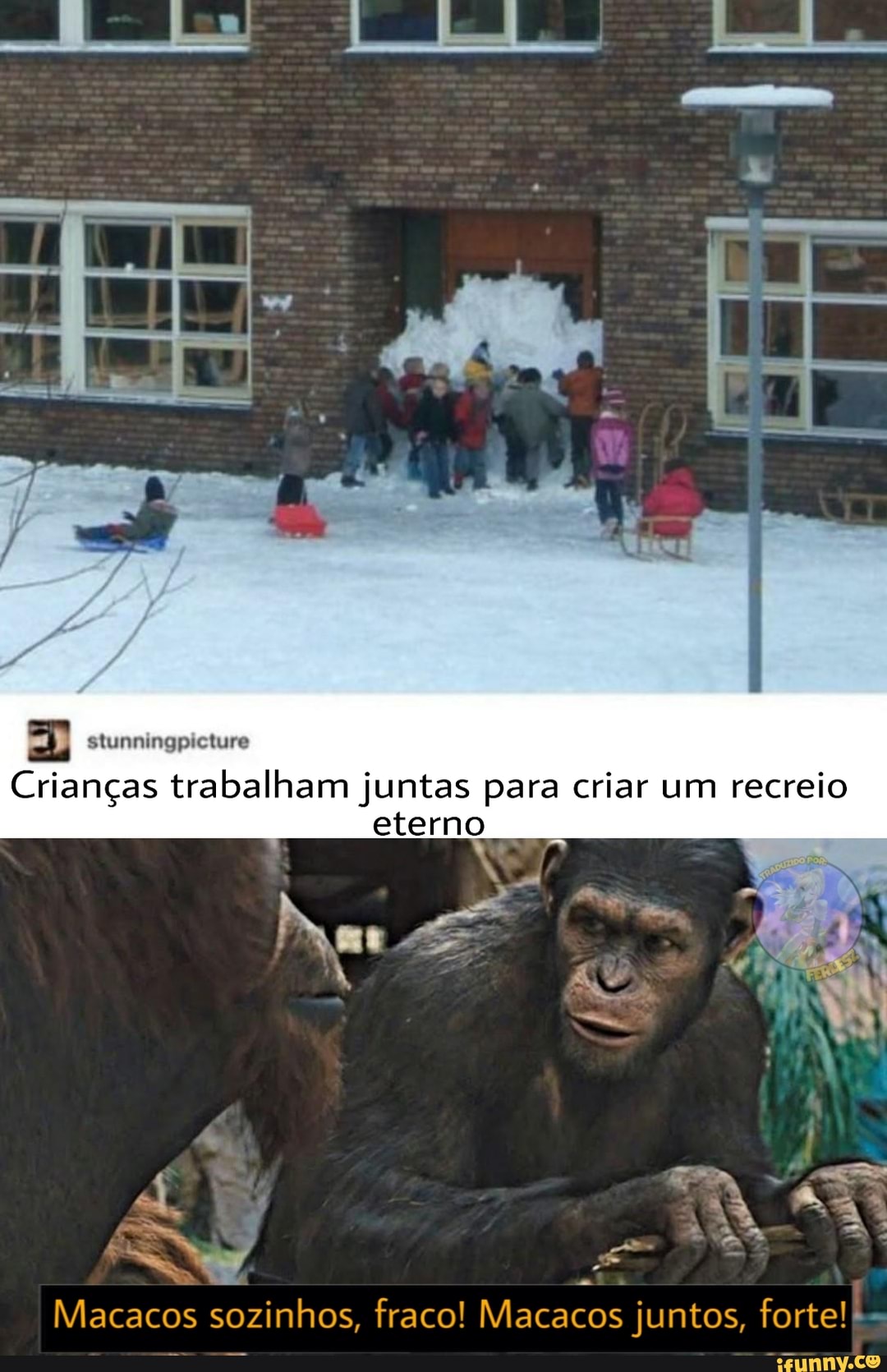 stunningpicture
Crianças trabalham juntas para criar um recreio eterno
I Macacos sozinhos, fraco! Macacos juntos, forte!