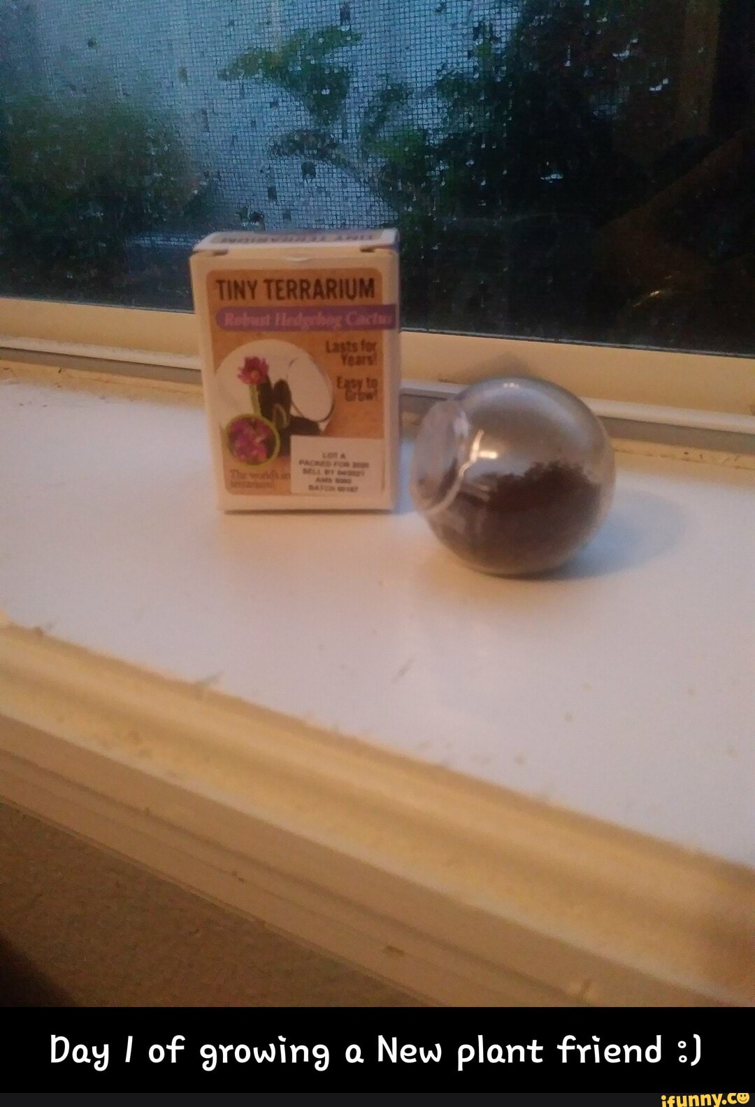 Day I of growing a New plant friend - Day 1 of growing a New plant friend :)