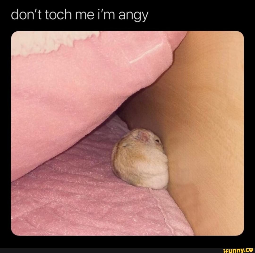 Don't toch me i'm angy - iFunny :)