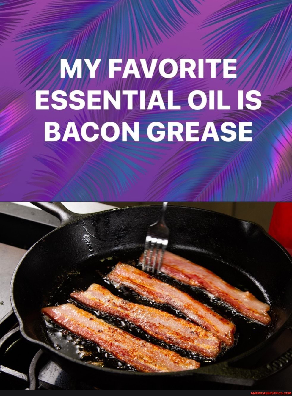 MY FAVORITE ESSENTIAL US BACON GREASE
