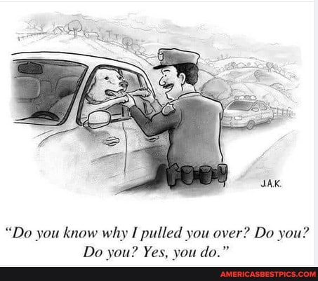 "Do you know why I pulled you over? Do you?