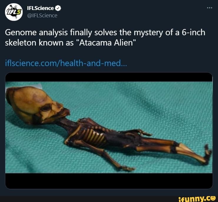 Is Genome analysis finally solves the mystery of a 6-inch skeleton ...