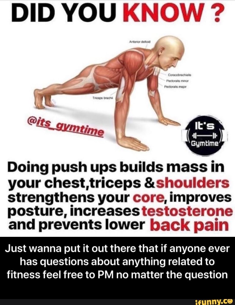 DID YOU KNOW ?
Doing push ups builds masâ in
your chest t,riceps &shoulders
strengthens your core, improves
posture, increasestestosterone
and prevents lower back pain
Just wanna put it out there that if anyone ever
has questions about anything related to
fitness feel free to PM no matter the question - Just wanna put it out there that if anyone ever has questions about anything related to fitness feel free to PM no matter the question